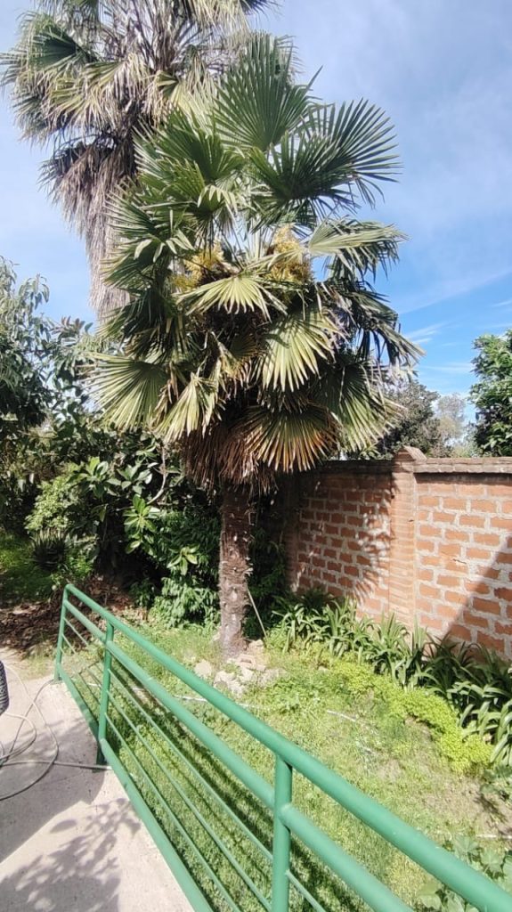 Propiedad con 6 box, salón y patio – Diego Echeverría, Quillota – Cód. L001 – $2.500.000