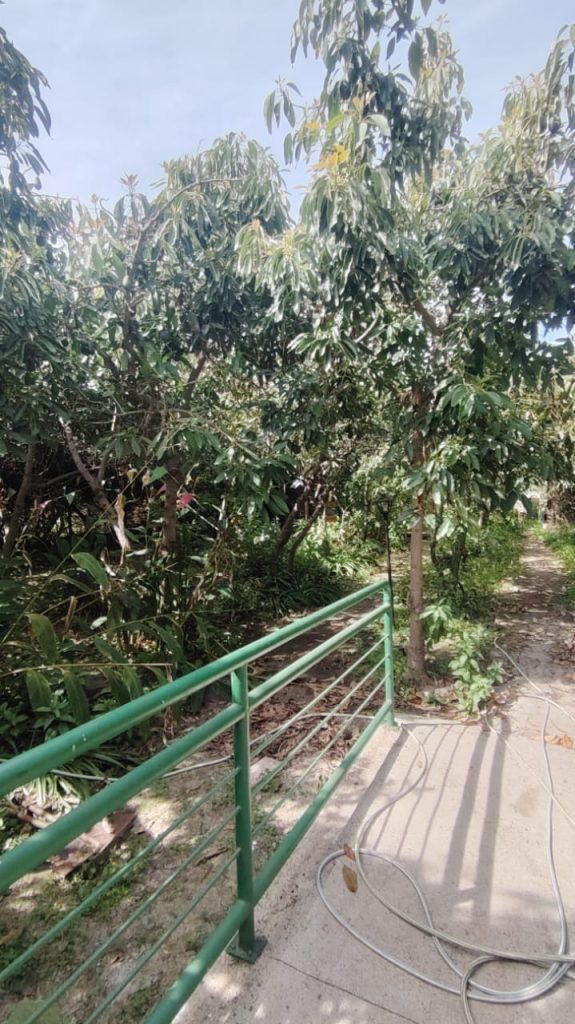 Propiedad con 6 box, salón y patio – Diego Echeverría, Quillota – Cód. L001 – $2.500.000